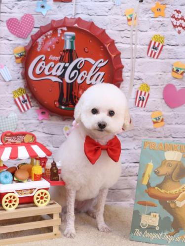 20230909MAPLEちゃん